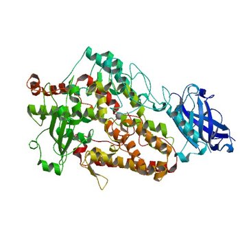 LIPOXYGENASE-1 (SOYBEAN) AT 100K, Q495A MUTANT (1FGO)