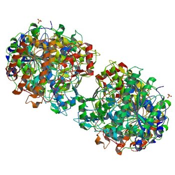 MONOVALENT CATION BINDING SITES IN N10-FORMYLTETRAHYDROFOLATE SYNTHETASE FROM MOORELLA THERMOACETICA (1FP7)