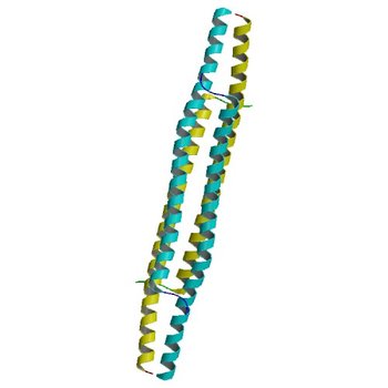 The tetramer structure of the nervy homolgy two (NHR2) domain of AML1-ETO is critical for AML1-ETO'S activity (1WQ6)