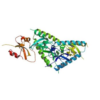 Tandem chromodomains of human CHD1 (2B2Y)