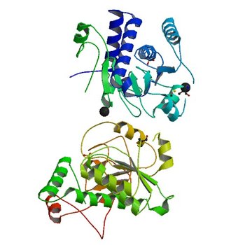 Crystal Structure of Mouse Apolipoprotein A-I Binding Protein (2DG2)