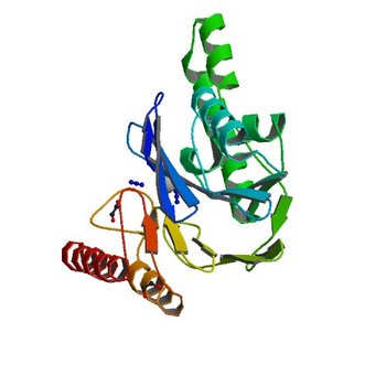 Pseudomonas aeruginosa SPM-1 metallo-beta-lactamase (2FHX)