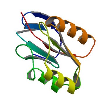 The crystal structure of an outer membrane protein from the Bartonella henselae (2FI9)