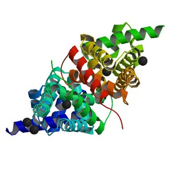 Crystal structure of transcriptional regulator SCO5951 from Streptomyces coelicolor A3(2) (2ID3)