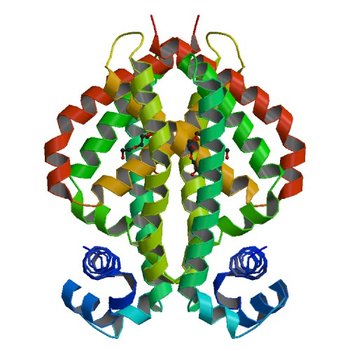 New crystal form of transcriptional regulator tm1030 from Thermotoga maritima (2IEK)