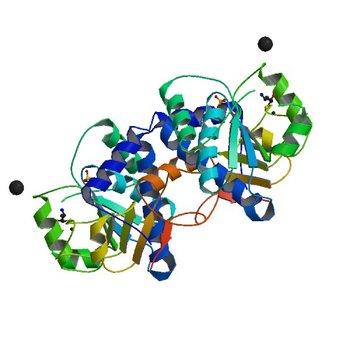 Crystal Structure of Mouse Apolipoprotein A-I Binding Protein (2O8N)