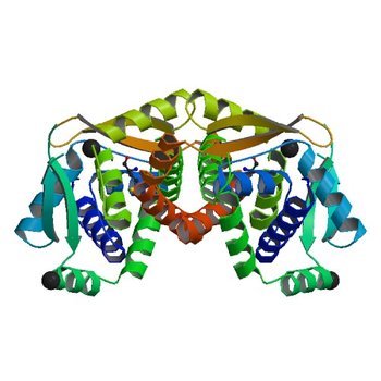 Crystal structure of putative transcriptional regulator TA0346 from Thermoplasma acidophilum (3ELK)