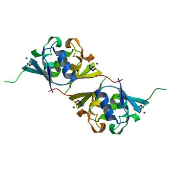 Crystal structure of a cystathionine beta-synthase domain protein fused to a Zn-ribbon-like domain (3GHD)