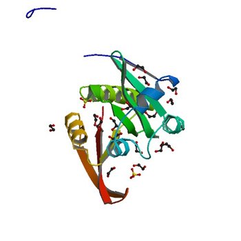 Crystal structure of His-tagged form of PA4794 protein (3KKW)