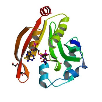 Crystal structure of GNAT superfamily protein PA2578 from Pseudomonas aeruginosa (3OWC)