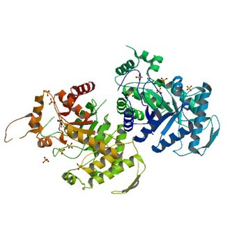 Crystal Structure of the Luciferase-like Monooxygenase from Bacillus cereus ATCC 10987. (3RAO)