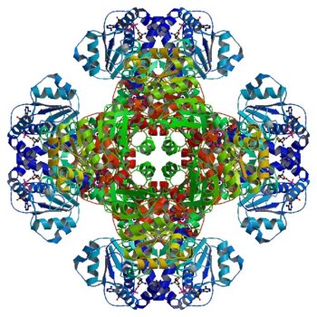 Crystal structure of tm0922, a fusion of a domain of unknown function and ADP/ATP-dependent NAD(P)H-hydrate dehydratase from Thermotoga maritima soaked with NAD. (3RSG)