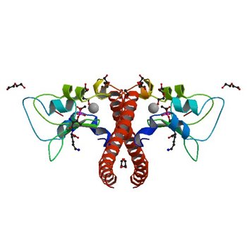 Crystal structure of human Survivin bound to histone H3 phosphorylated on threonine-3. (3UEC)