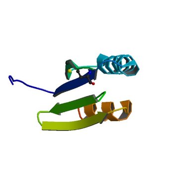 Crystal structure of thioredoxin-like protein BCE_0499 from Bacillus cereus ATCC 10987 (4EUY)