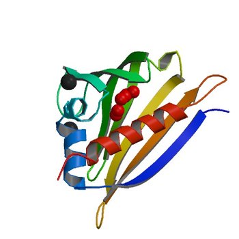 Crystal structure of recombinant kirola (Act d 11) (4IHR)