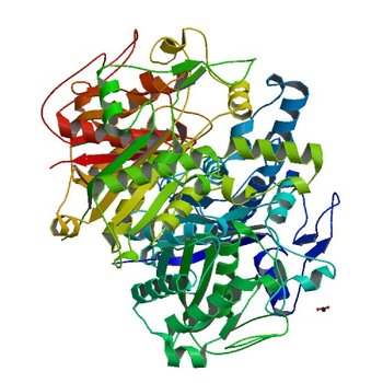 Crystal structure of beta-ketoacyl-ACP synthase II (FabF) from Vibrio Cholerae (space group P212121) at 1.75 Angstrom (4JRM)