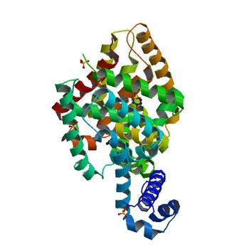 Structure of E. coli Transcriptional Regulator RutR with bound uracil (4JYK)