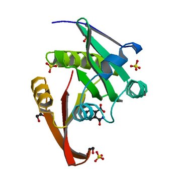 Crystal structure of a GNAT superfamily acetyltransferase PA4794 in complex with 2-(aminocarbonyl)benzoate (4KLW)