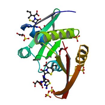 Crystal structure of a GNAT superfamily acetyltransferase PA4794 in complex with Cefixime (4KOU)