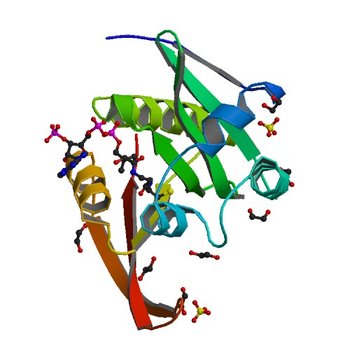 Crystal structure of a GNAT superfamily acetyltransferase PA4794 in complex with covalently bound CoA (4L89)