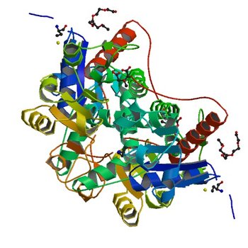 Crystal structure of D-isomer specific 2-hydroxyacid dehydrogenase family protein from Klebsiella pneumoniae 342 (4N18)