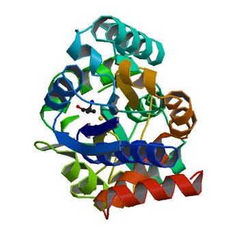 The putative substrate binding domain of ABC-type transporter from Agrobacterium tumefaciens in open conformation (4ND9)