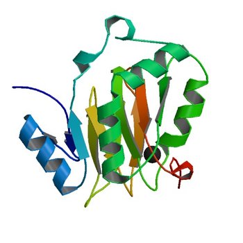 Acireductone dioxygenase from Bacillus anthracis with cadmium ion in active center (4QGM)