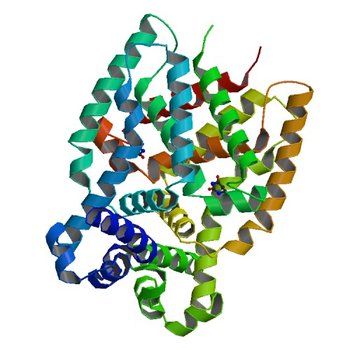 E. coli transcriptional regulator RUTR with dihydrouracil (4XK4)