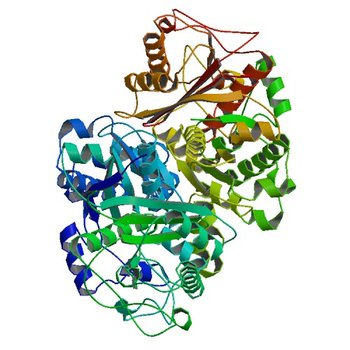 Structure of beta-ketoacyl-ACP synthase I (FabB) from Vibrio Cholerae (4XOX)