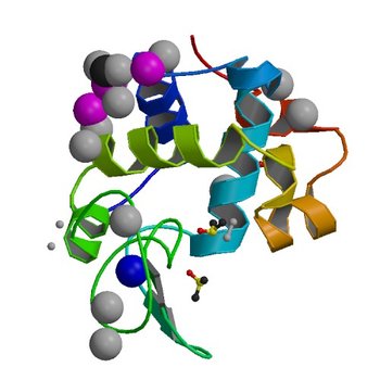 Carboplatin binding to HEWL in NaBr crystallisation conditions studied at an X-ray wavelength of 0.9163A - new refinement (4YEM)