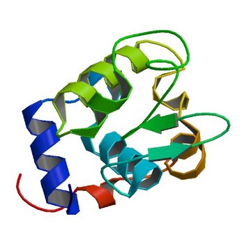 Crystal structure of mouse sperm C-type lysozyme-like protein 1 (4YF2)