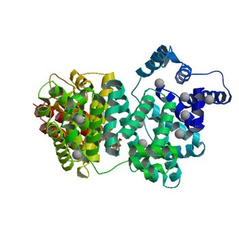 Crystal structure of Equine Serum Albumin in the presence of 10 mM zinc at pH 6.9 (5IIU)