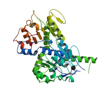 Crystal structure of NADPH-dependent glyoxylate/hydroxypyruvate reductase SMc02828 (SmGhrA) from Sinorhizobium meliloti in apo form (5UNN)