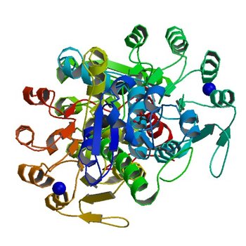 Crystal structure of NADPH-dependent glyoxylate/hydroxypyruvate reductase SMc04462 (SmGhrB) from Sinorhizobium meliloti in complex with citrate (5V72)