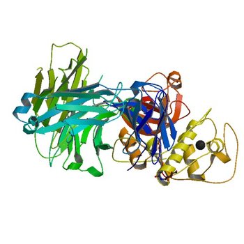 THE CRYSTAL STRUCTURE OF DER P 1 ALLERGEN COMPLEXED WITH FAB FRAGMENT OF MAB 10B9 (5VCO)