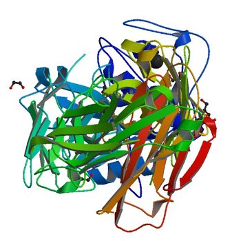 CRYSTAL STRUCTURE OF DER P 1 COMPLEXED WITH FAB 4C1 (5VPG)