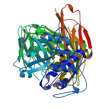 CRYSTAL STRUCTURE OF DER P 1 COMPLEXED WITH FAB 4C1 (5VPH)