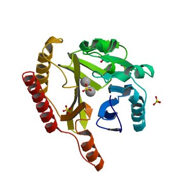 FEZ-1 metallo-beta-lactamase from Legionella gormanii modelled with unknown ligand (5W90)