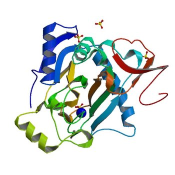 The crystal structure of kanamycin B dioxygenase (KanJ) from Streptomyces kanamyceticus complex with nickel, sulfate and chloride (6S0R)