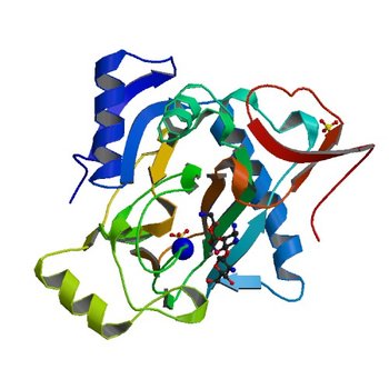 The crystal structure of kanamycin B dioxygenase (KanJ) from Streptomyces kanamyceticus in complex with nickel and kanamycin B sulfate (6S0W)