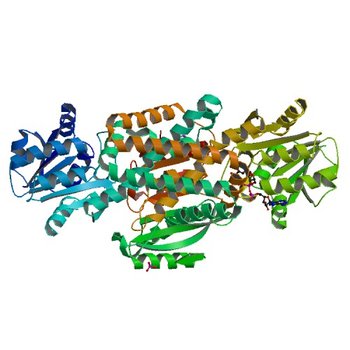 Crystal structure of prephenate dehydrogenase tyrA from Bacillus anthracis in complex with NAD and L-tyrosine (6U60)