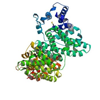 Albumin-dexamethasone complex (6XK0)